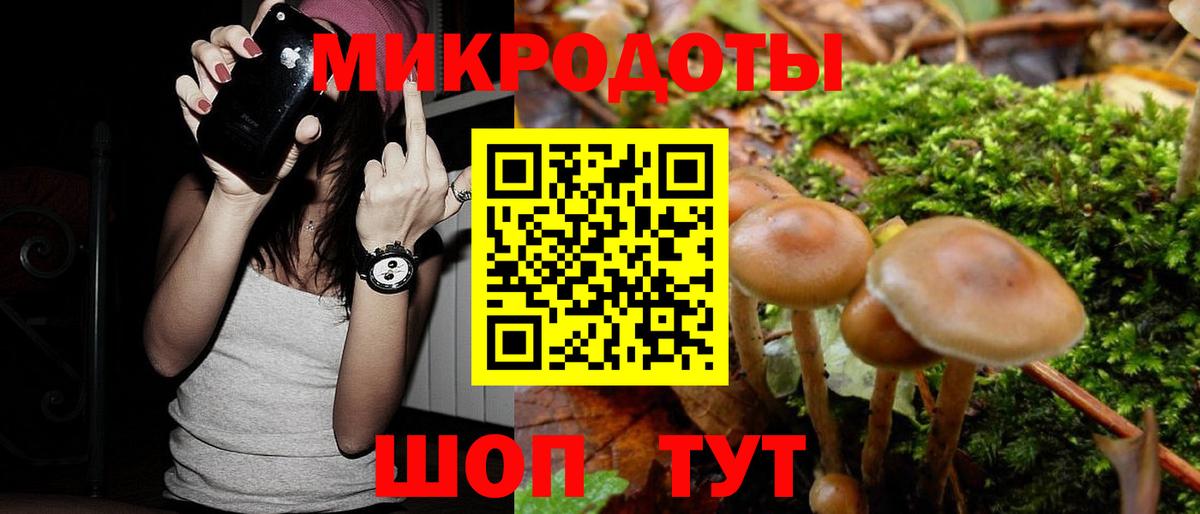 Псилоцибиновые грибы Psilocybe  Вход с VPN  Галлюциногенные грибы GOLDEN TEACHER  Семёнов 