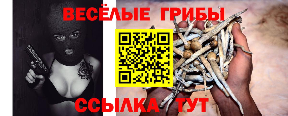 Галлюциногенные грибы GOLDEN TEACHER Семёнов